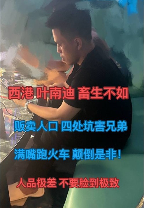 西岗狗推